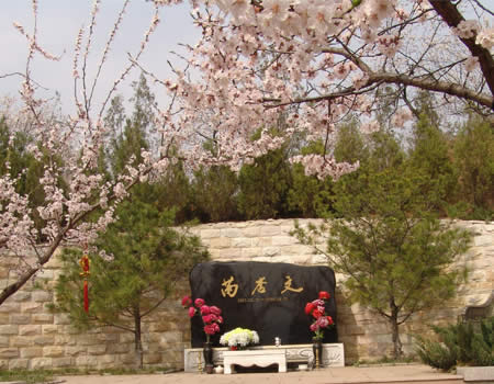 八达岭陵园芮杏文墓碑