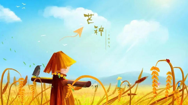 芒种