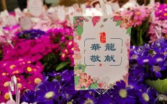 倡导文明祭扫，华龙皇家陵园多措并举共度绿色清明