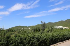 凤凰山陵园选购墓地
