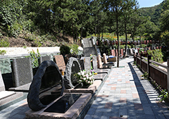 八达岭陵园都有什么服务？