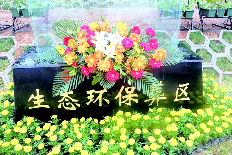 殡葬改革散葬坟头三年内全部迁移