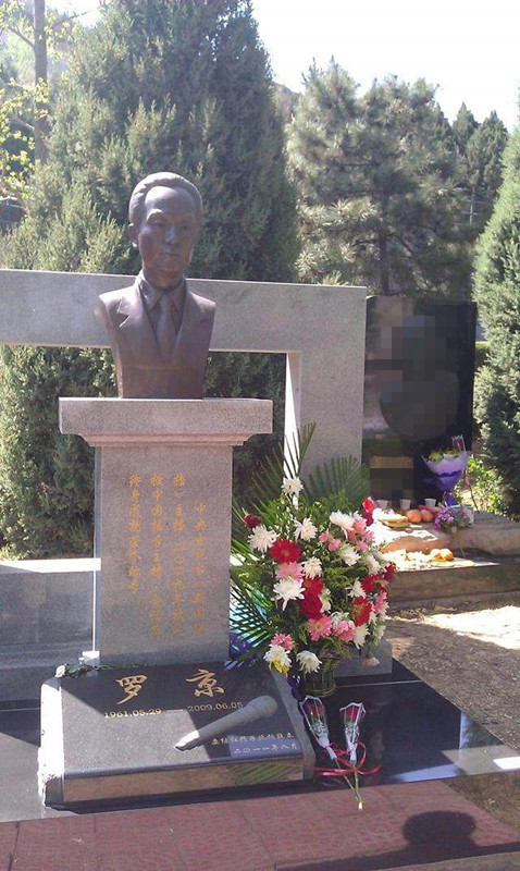 罗京老师墓地样式