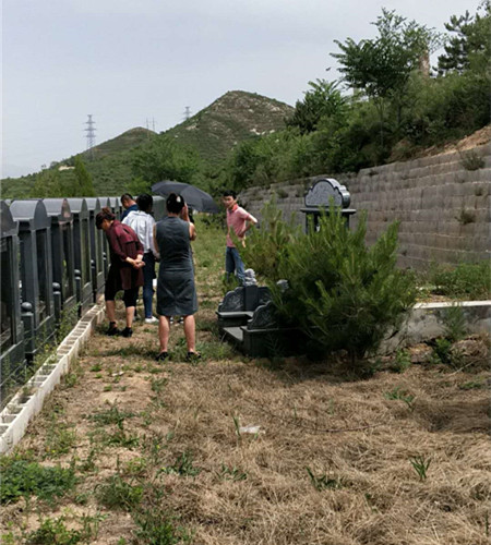 看墓图片