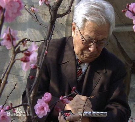 陈俊愉院士照片