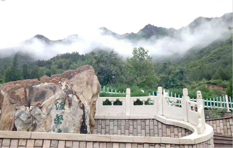 景仰园骨灰林图片