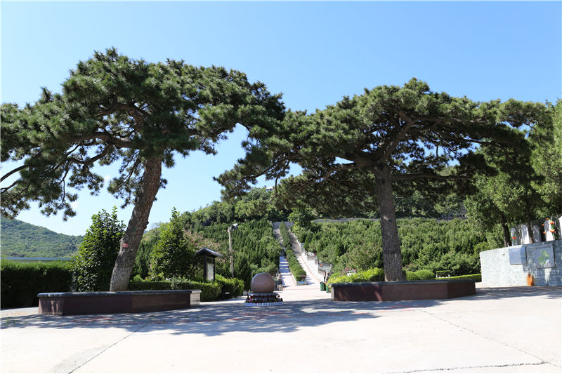 温泉公墓景观图