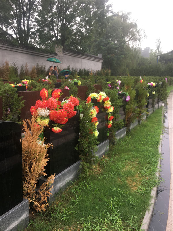 查看墓地对比墓型和位置