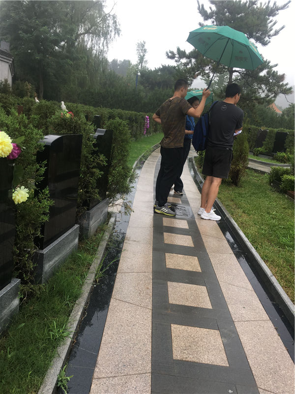 查看墓地对比墓型和位置