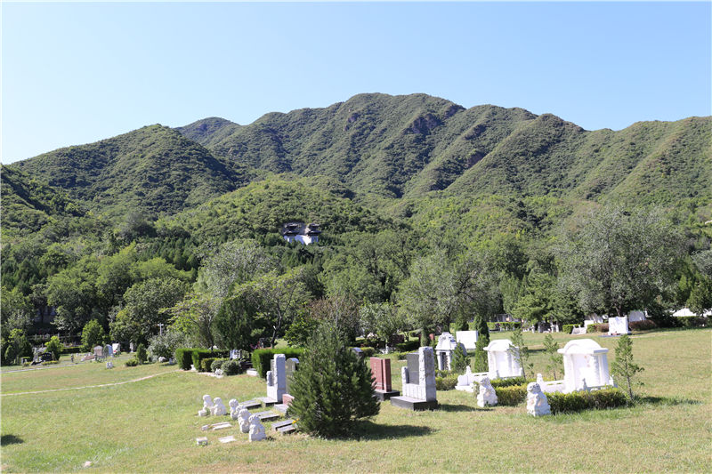自选墓区域图片