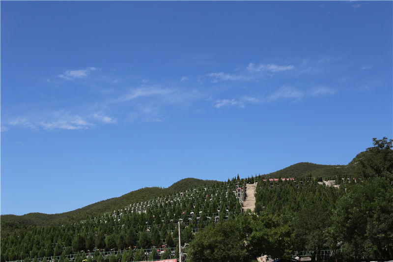 炎黄陵园景观图