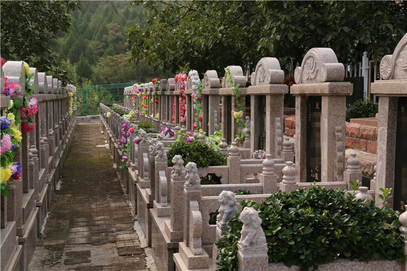 佛山陵园墓地排列图片