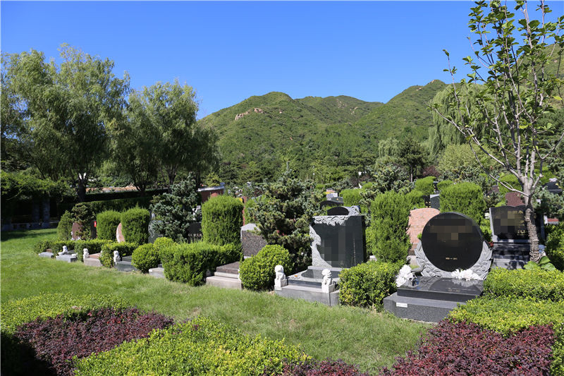 龙颌园墓区图片