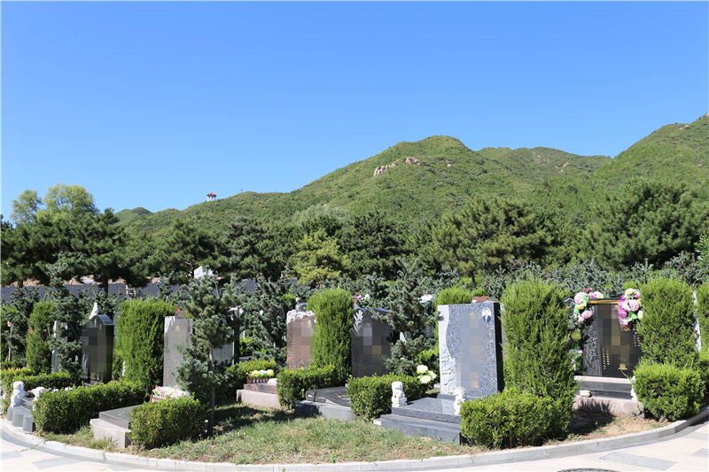普渡园墓区图片