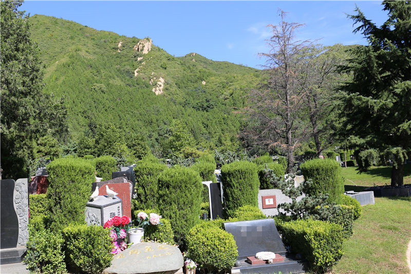 天寿陵园自选墓区