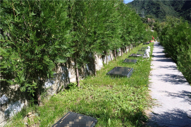九公山园区美景