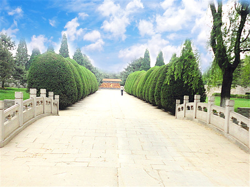 陵园主路图片