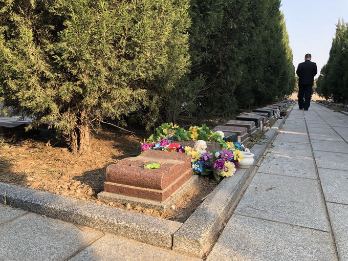 北京太子峪树葬