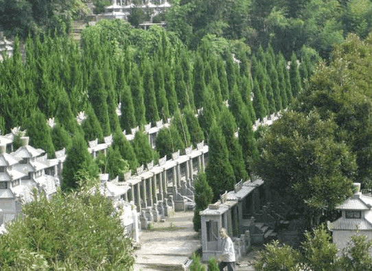 墓地图片