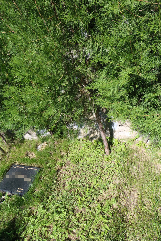 九公山福泽园墓地图片