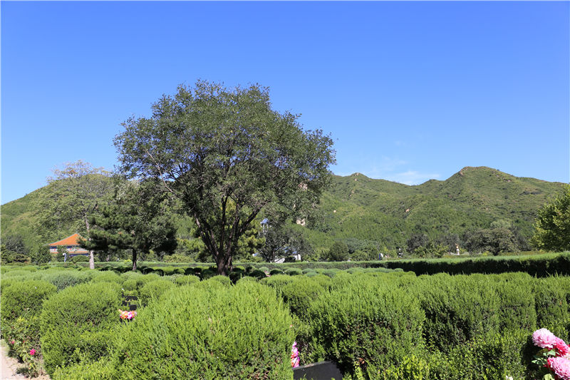 天寿陵园景观图