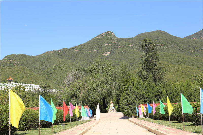 炎黄陵园墓区主路图片