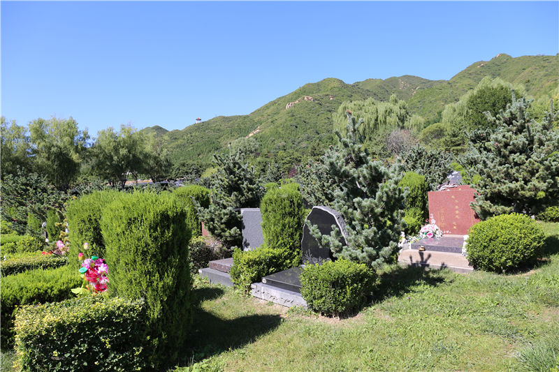 昌平天寿陵园墓区图片