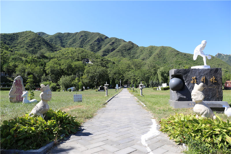 凤凰山陵园墓区图片