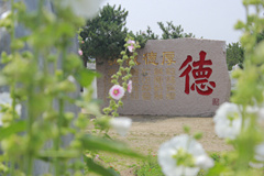 在极好的华龙皇家陵园为爷奶置办百年后居所