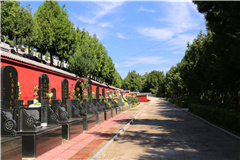 九里山墓区整体概览