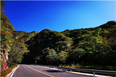 九公山绿化草地环境