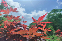 九公山长城纪念林周边环境水系