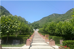 九公山新建区墓碑一览