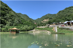 九公山福泽园墓区墓型一览