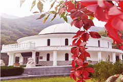 九公山福泽园道路环境一览