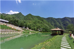 九公山某园区环境道路一览