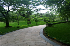 九公山大概环境一览