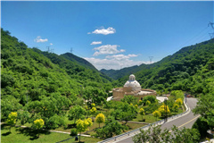 九公山环境部分展示