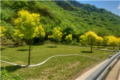  九公山功泽园墓区展示