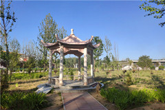 天津玉佛寺是公慕还是寄存骨灰的？