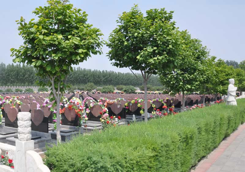 通州极乐园公墓墓区照片