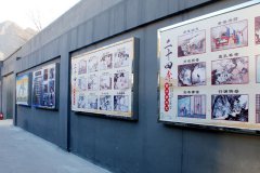 报展