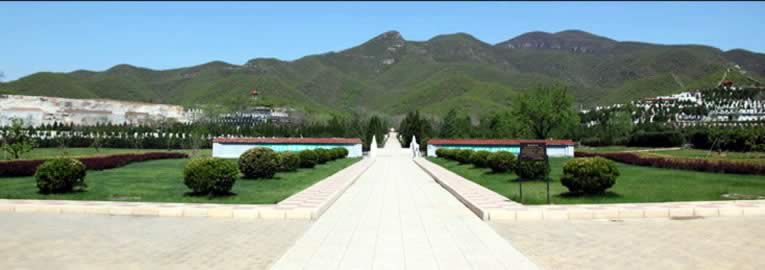 炎黄陵园园区绿化景观图片