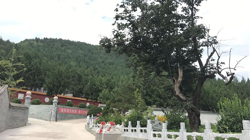 九里山公墓二区园区景观