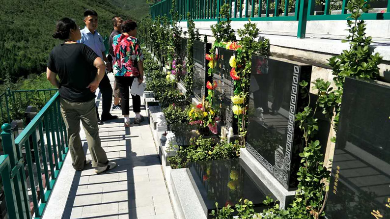 桃峰陵园墓区实景拍摄
