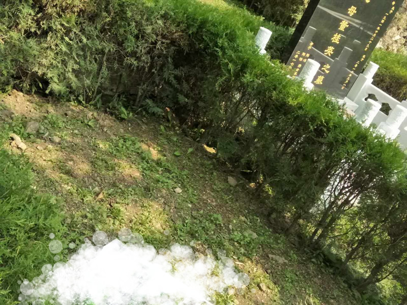 九公山长城纪念林陵园树葬自选区