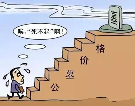 墓地价格高形象图