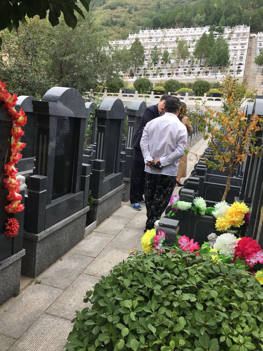 德陵公墓业务员王带着选墓地