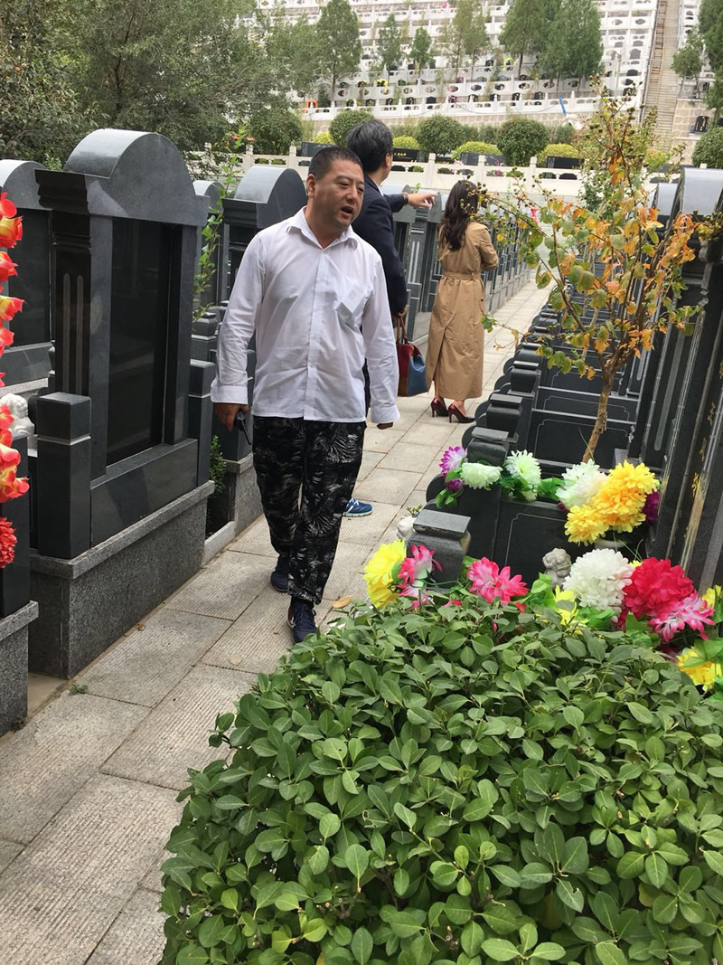 德陵公墓墓型图