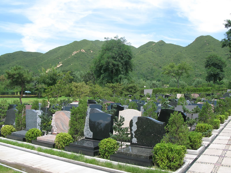 天寿陵园梅园